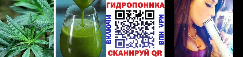 Купить закладки  Ачинск  Печенье с ТГК конопля 