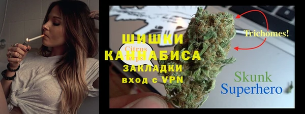 мдпв Вязьма