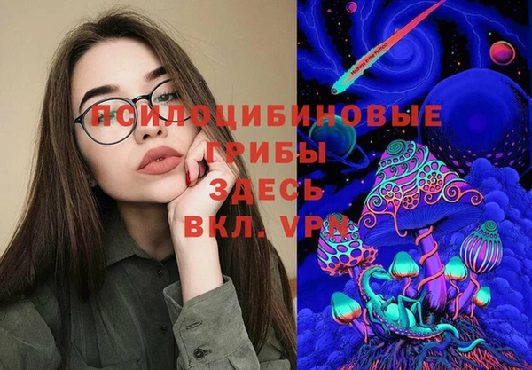 мдпв Вязьма