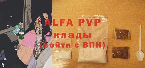 spice Вяземский