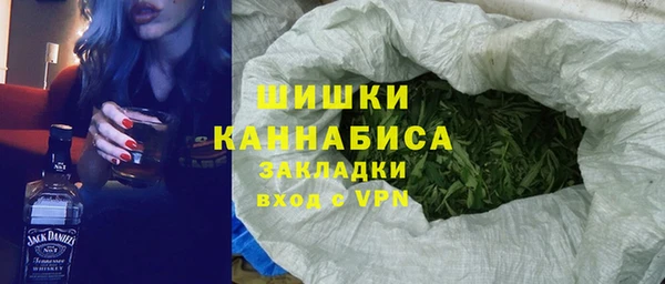 мдпв Вязьма