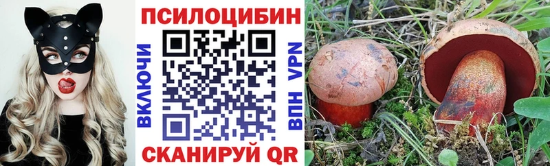 Купить где  Ачинск  Галлюциногенные грибы мицелий 
